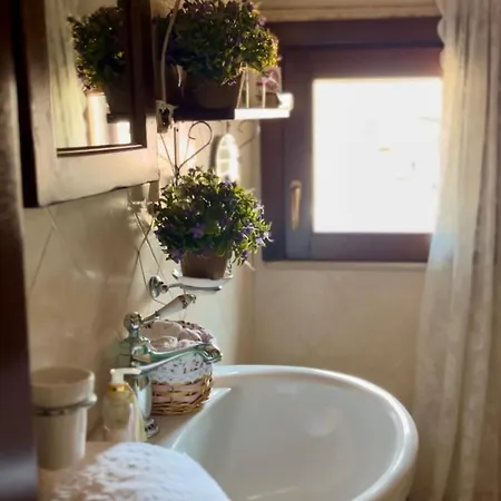 Ludy House Nocleg ze śniadaniem Augusta